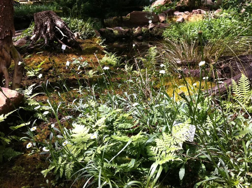 10 Essential Stops for a Palmengarten and Frankfurt Gardens Guide (2026)