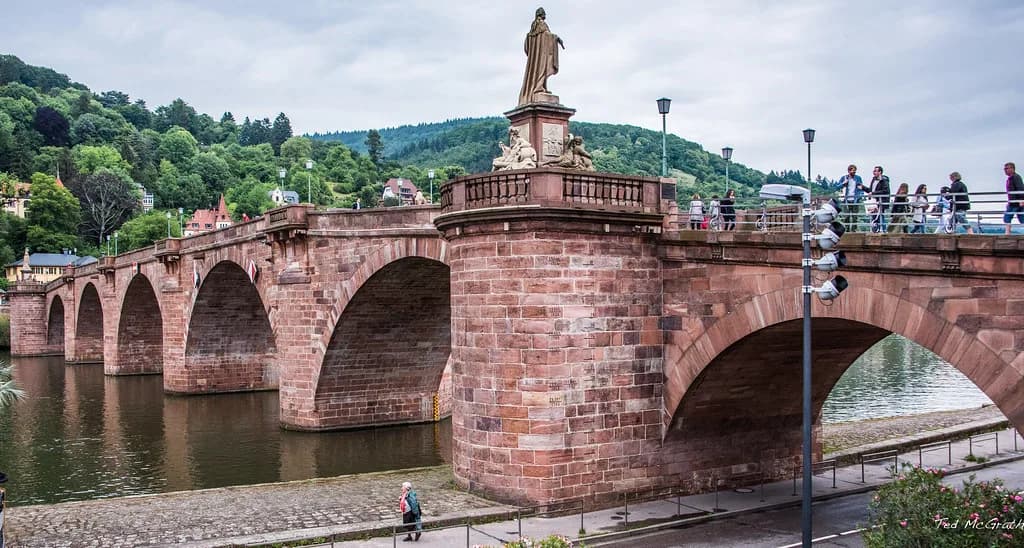 Heidelberg Neckar Valley and Nearby Towns Guide