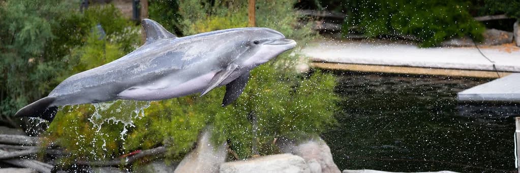 Nuremberg Zoo Tiergarten Guide: Tips for Your Visit