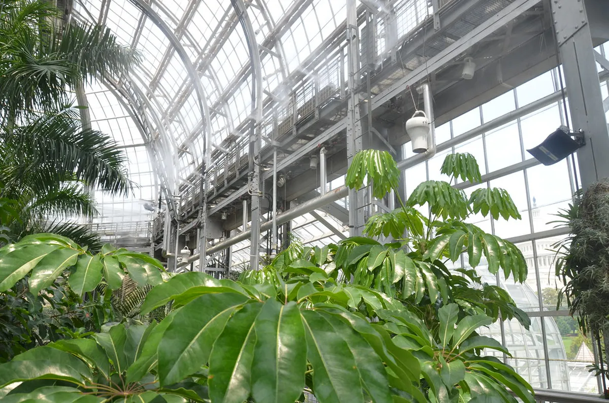 Temperatures amp Climate — a highlight of Berlin, Germany