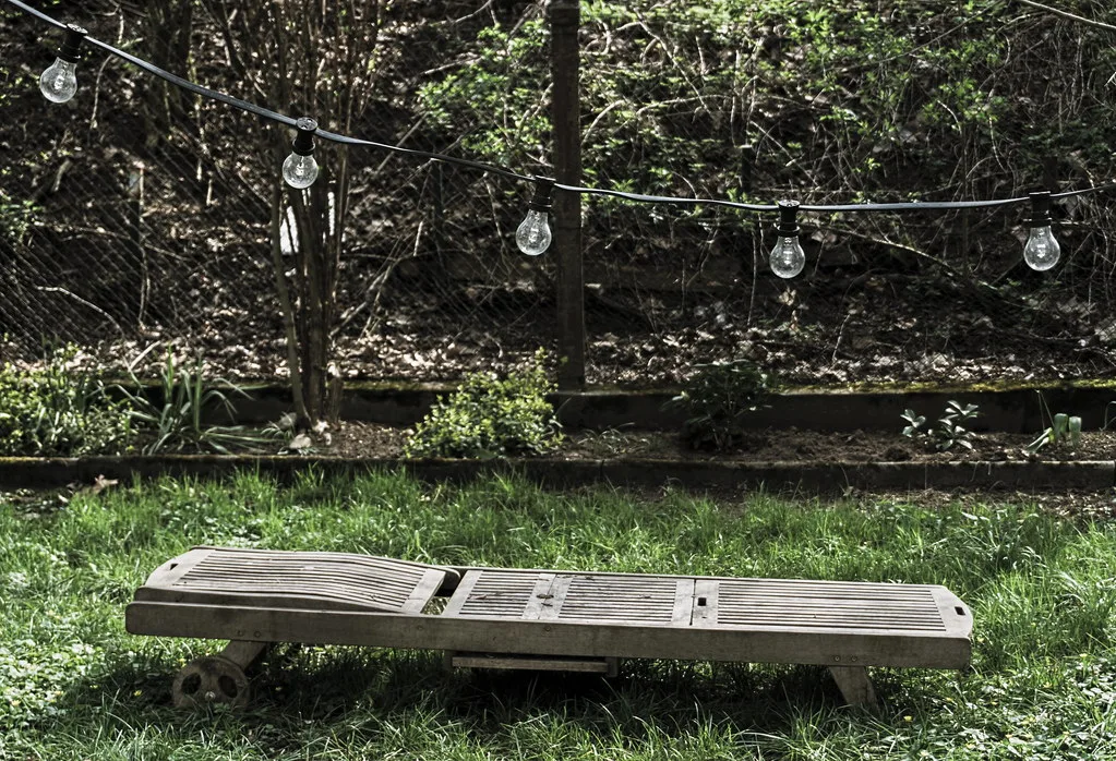Parks, Gardens, and Outdoor Spots Near the Main River