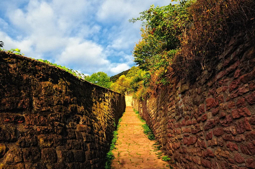 Scenic Views Along the Philosophers' Walk
