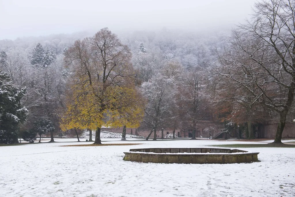 Deciding Your How Many Days in Heidelberg Itinerary