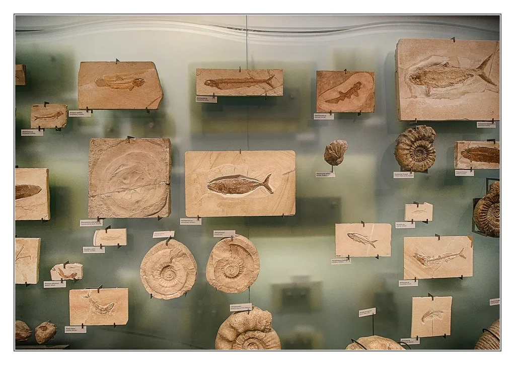 Museums and Scientific Innovation